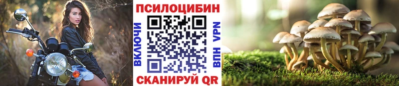 Галлюциногенные грибы прущие грибы Стрежевой