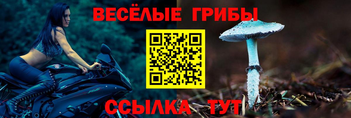 Стрежевой  Галлюциногенные грибы Psilocybe  Вход с VPN  Псилоцибиновые грибы мухоморы 
